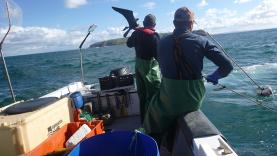 Trabalho com pescadores de Peniche entre finalistas do Prémio Europeu Natura 2000