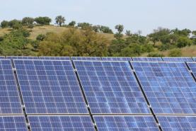 Abertas candidaturas para apoios à aquisição de painéis solares na agricultura