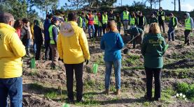 Parceiros do aspiring Geoparque Oeste dinamizaram acção de plantação de árvores