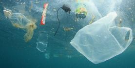 Portugal na frente na directiva sobre plásticos de uso único revela relatório oficial
