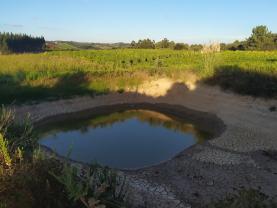 Portugal com 48% do território em seca severa a extrema