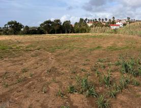Junta de Freguesia de Santa Bárbara adquire terreno para complemento do Parque da Fonte Lima