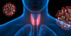 Associação das Doenças da Tiroide alerta que pessoas com hipotiroidismo têm maior intolerância ao frio