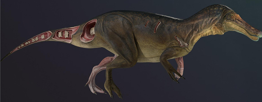 Descoberto novo dinossauro parecido com T-Rex; nome homenageia