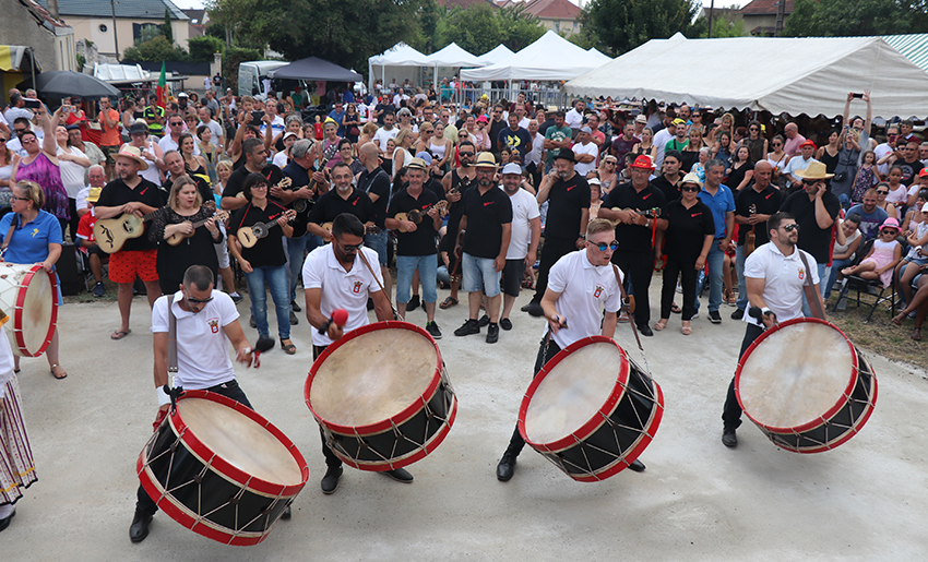 festa sardinha 2017 sm