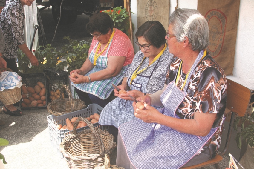 festival da batata