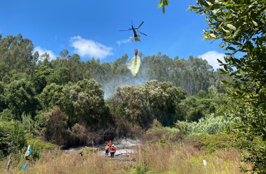 incendio florestal caldas 2024