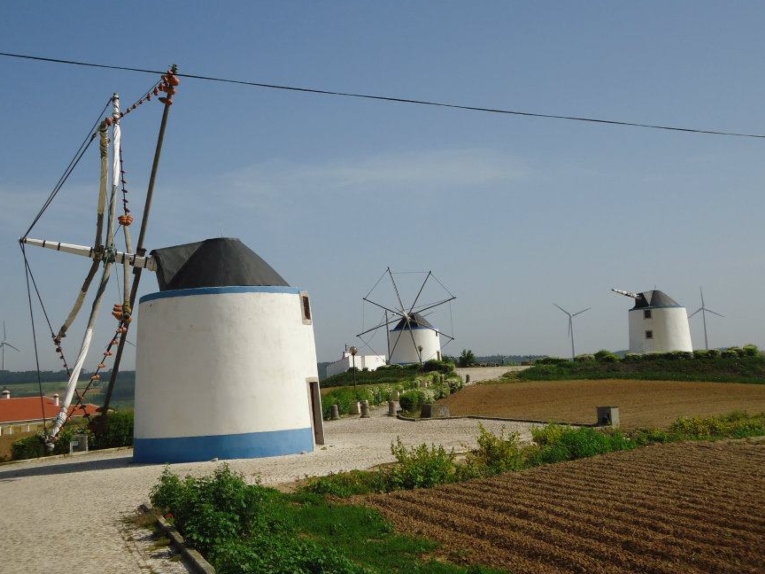 Moinhos do Oeste MONTEJUNTO & Arredores