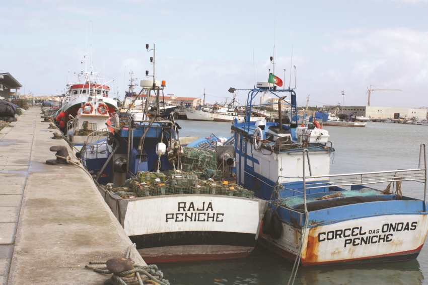 quotas de pesca 1