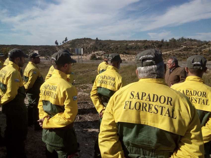 sapadores florestais