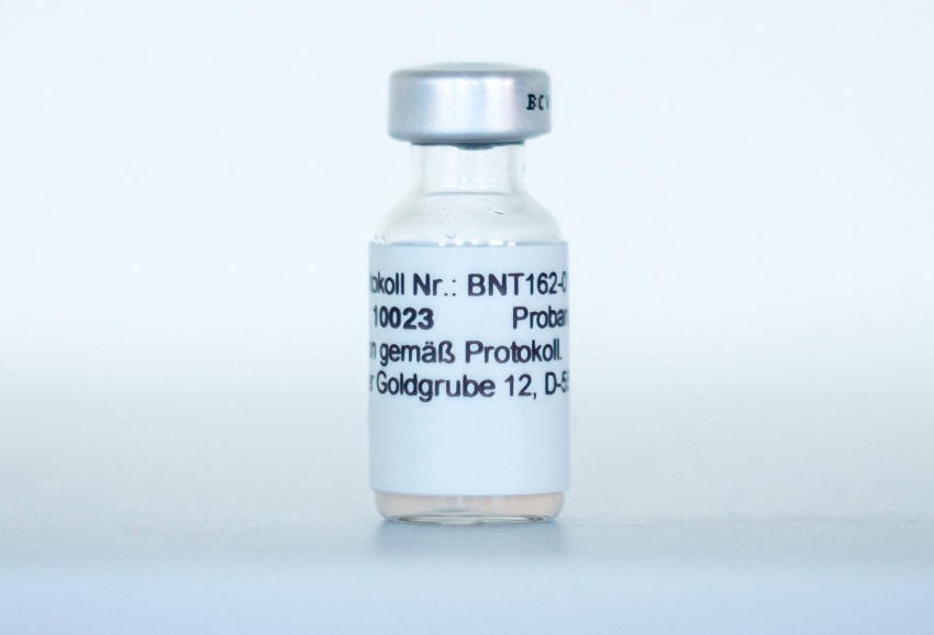 vacina coronavirus 19